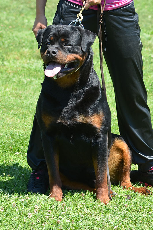 Yumbo von der Alten Festung Yumbo von der Alten Festung